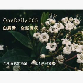 白麝香-Onedaily 香氛塊（ 兩入組 ）Allite CF1 & CF2 專用